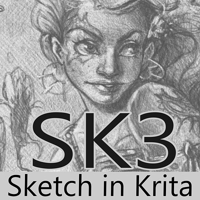 SK3 cover