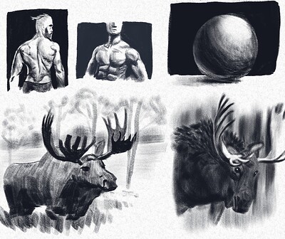 charcoal_exercise