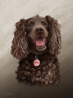 Robin Shuler Johnson