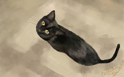 Anticipation-AbbyCat
