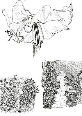 skb16_al_pens_05_kabura_pen