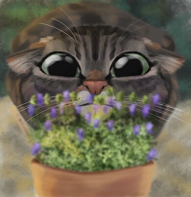 Cat and Plant