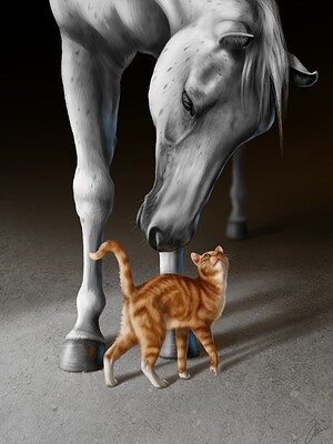 Curious Animals April 24