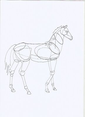 horse1