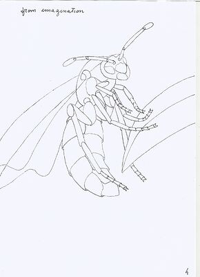 wasp-from-imagination