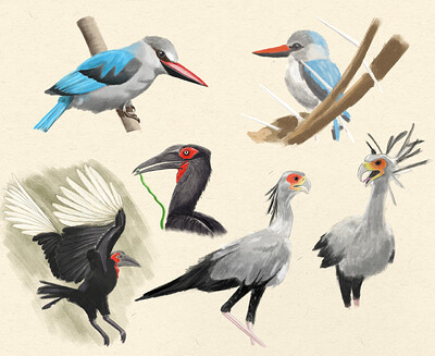 sketches_84