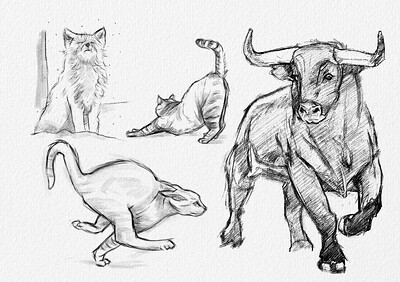 animals