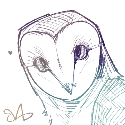 owl sketch