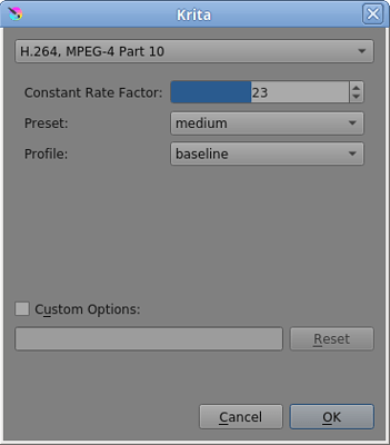 mp4 standard options