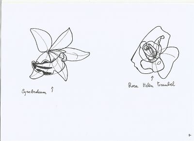 plant-construction-7