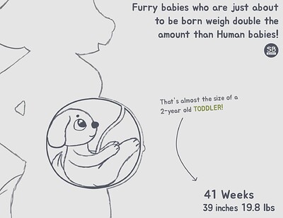 Furry babies weigh more