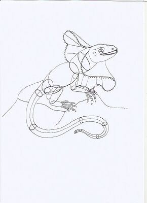 clamydosaurus