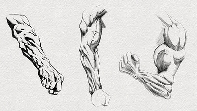 Arm Day