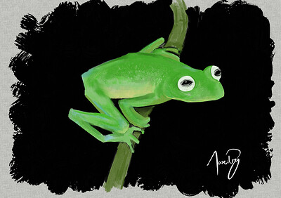 Hyalinobatrachium dianae