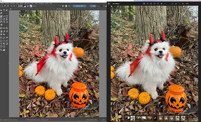 Capture d’écran 2022-11-12 135814