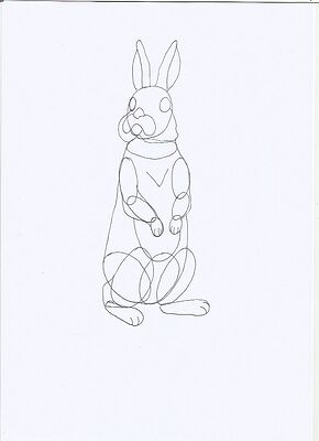 rabbit3