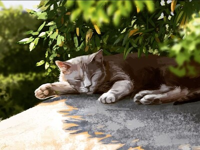 Cat Nap