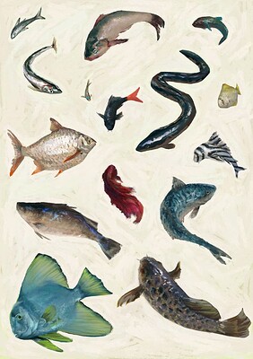 impasto_fish__white