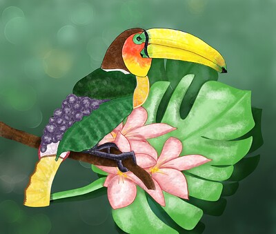Ramphastos fructus bokeh