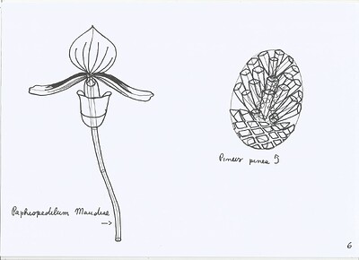 plant-construction-6