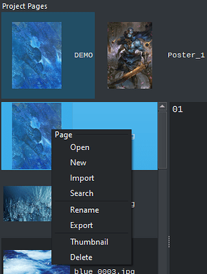 project_pages_menu_003