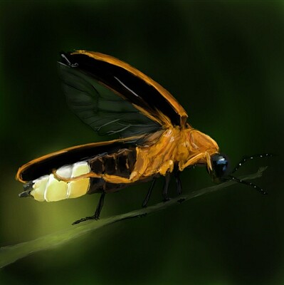 Screenshot_20230909-153442_Gallery