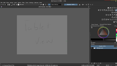 krita tablet view