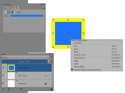 Selected Vector right-click options