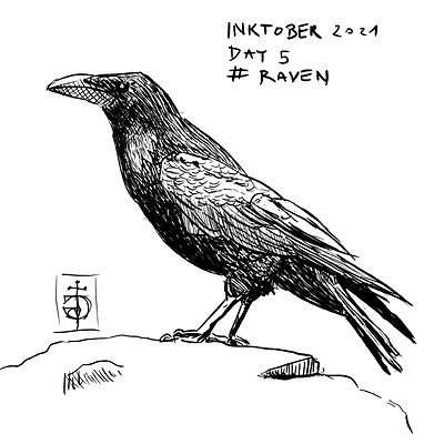 raven