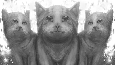 Cats