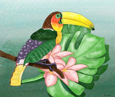 Ramphastos fructus