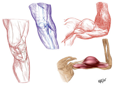 Crosshatching body parts