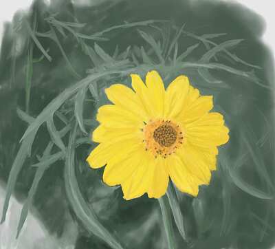 skeletonleaf-goldeneye-7063-2