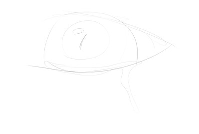 Sketch 05-06