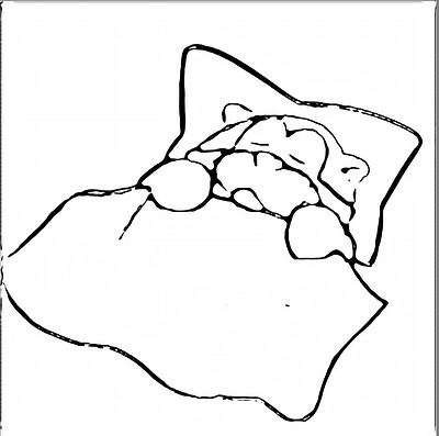 obraz