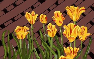garden01
