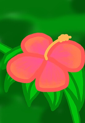 hibiscus flower