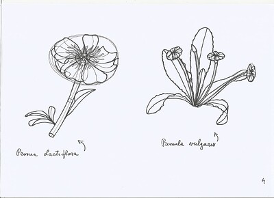 plant-construction-4