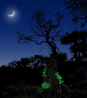 Glow in the Dark test