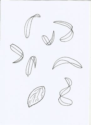 leaves