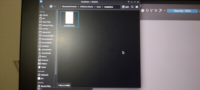 IMG_20260201_110045882