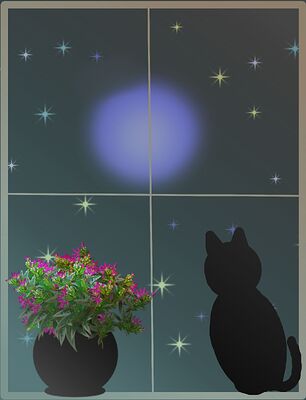 Cat In The Night