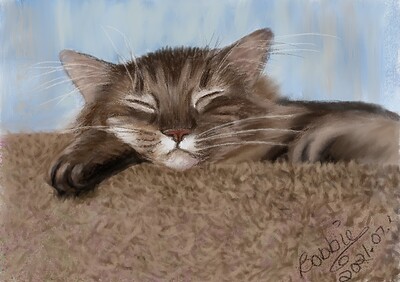 Contentment-PurrzcyCat-2