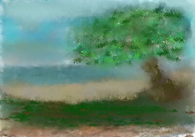 serene vibes project