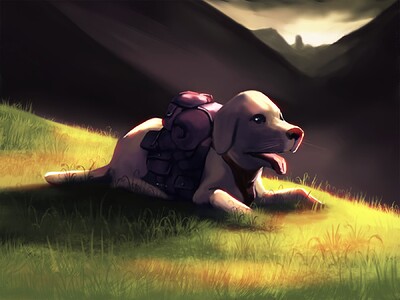2022-11-13-CDC-dogAdventurer