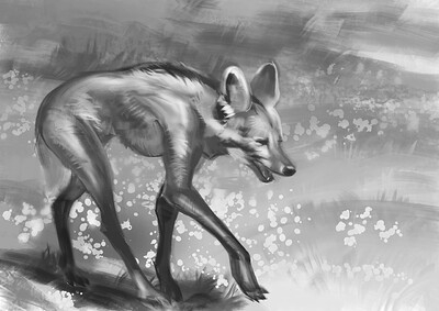 maned wolf