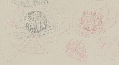 08 flower plan