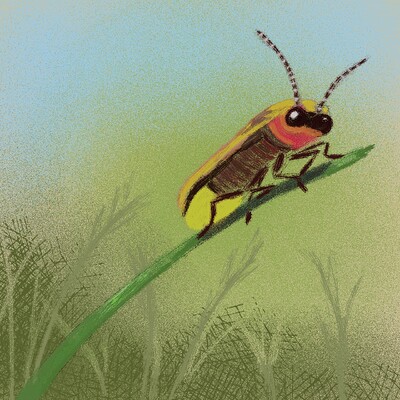 inktober23_firefly_sooz