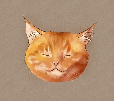 cat test