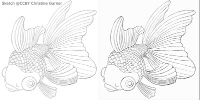 fish_square_sketchy_comparison_small